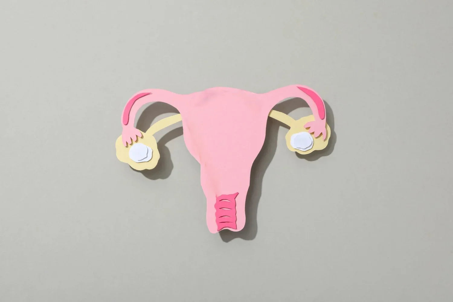 Vaginal Hysterectomy