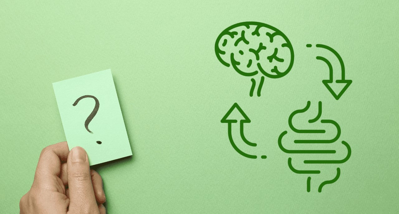 Link Between Gut Health and Mental Well-Being