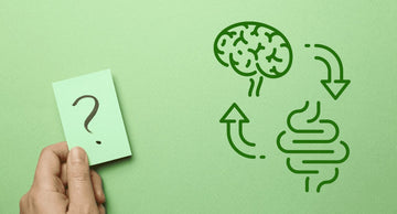 Link Between Gut Health and Mental Well-Being