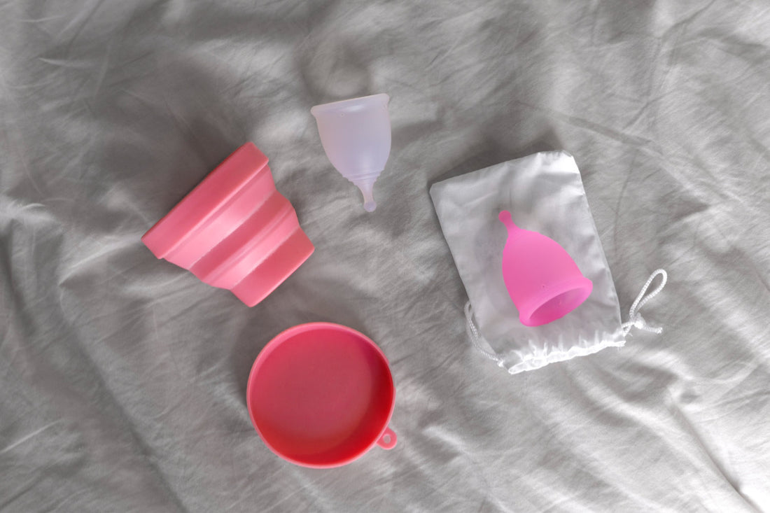 Portable and Disposable Feminine Hygiene Products