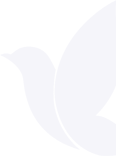 Decorative bird